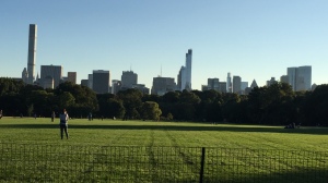 Skyline from Central Park